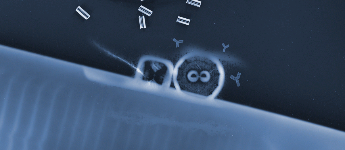 photogram cell antibody