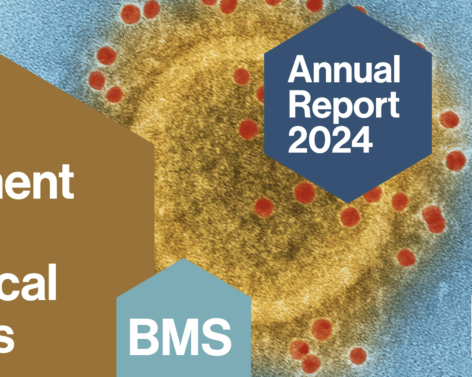 BMS Report