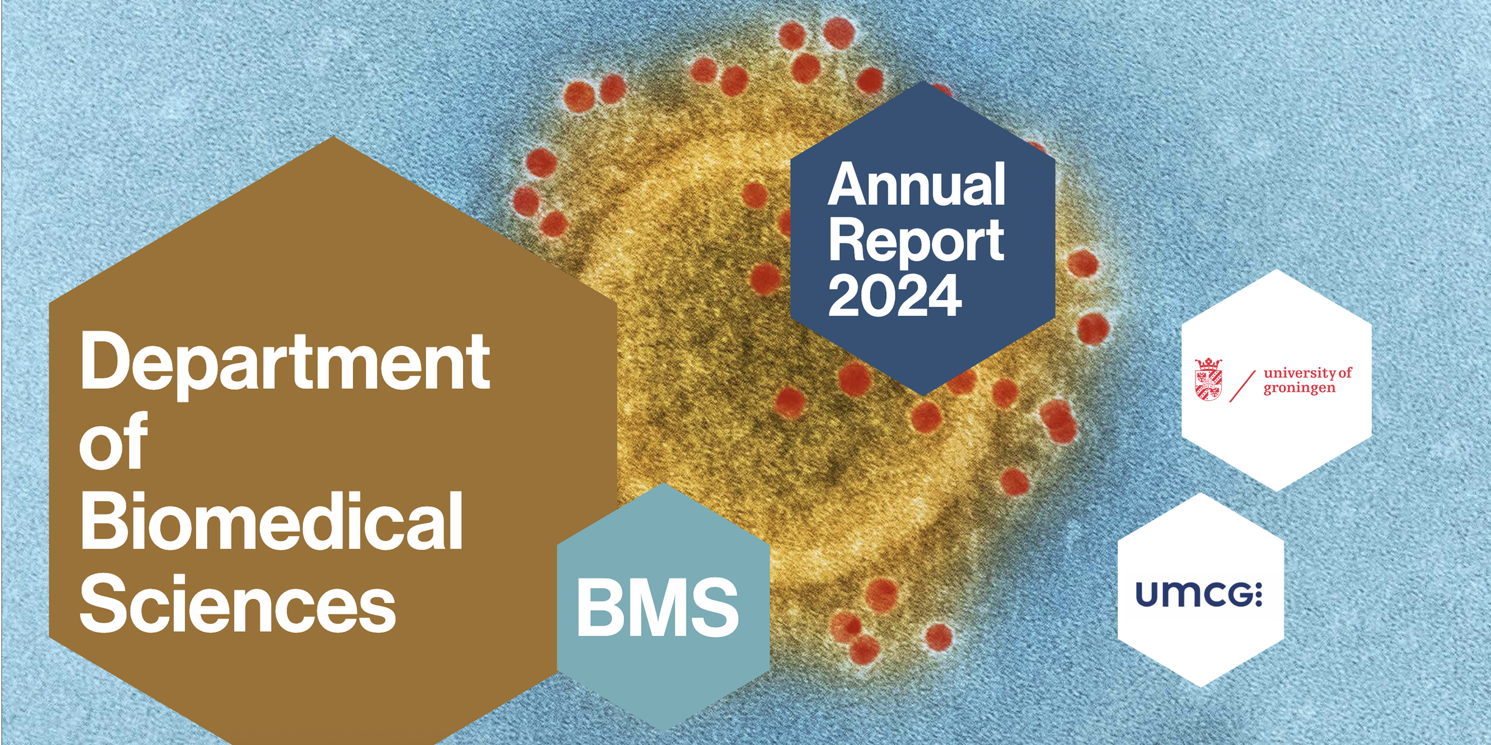 BMS Annual Report Mockup