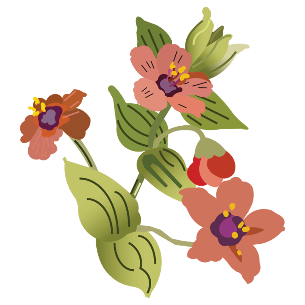 Hyenia exstint plant