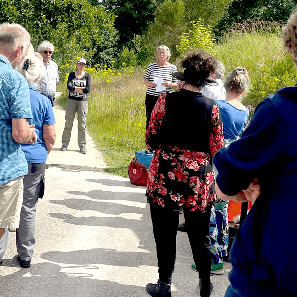 Hyenia exstint plant