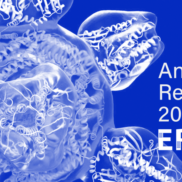 Eriba Annual Report 2024