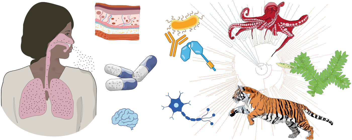 Life science illustration